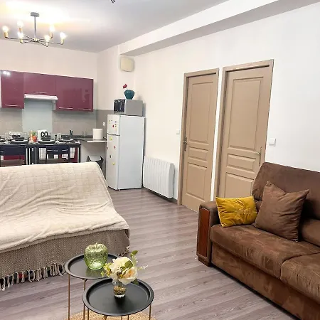 Apartment Avec 2 Jardin Prive Parking Gratuit Clermont-Ferrand